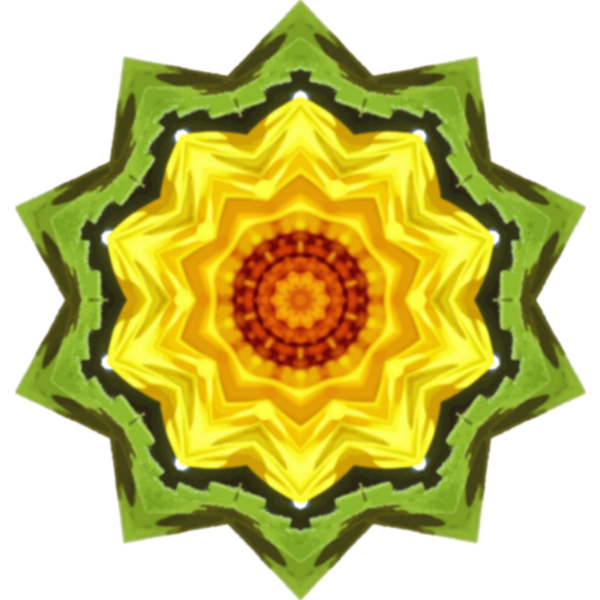 SunflowerKaleidoscope25