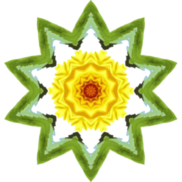 SunflowerKaleidoscope26