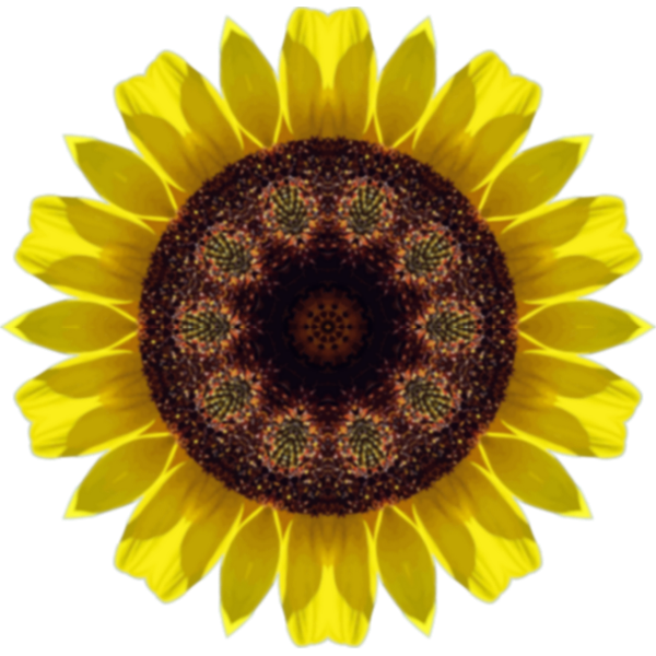 SunflowerKaleidoscope4