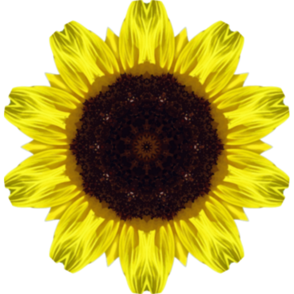 SunflowerKaleidoscope5