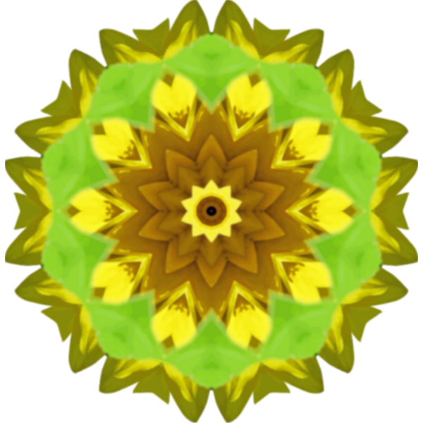 SunflowerKaleidoscope6