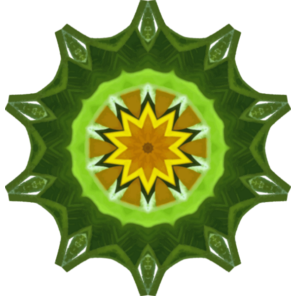 SunflowerKaleidoscope9