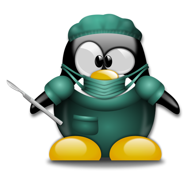 Penguin surgeon vector image