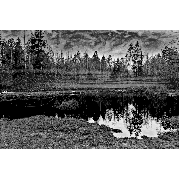 Swamp 3 Grayscale