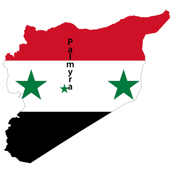 Syria map flag with Palmyra vector image