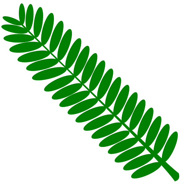 TJ Openclipart 27 mimosa leaf 9 3 16 final