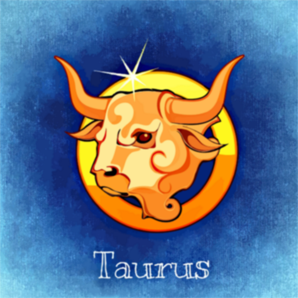 Taurus drawing
