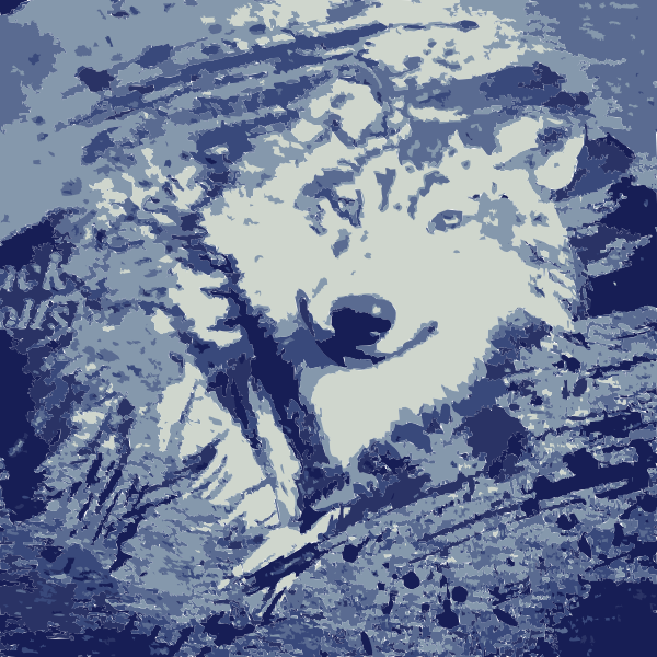 The Wolf From The Wolfpack Free Svg