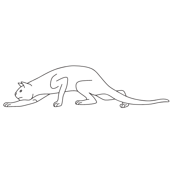 The cat is stalking its prey