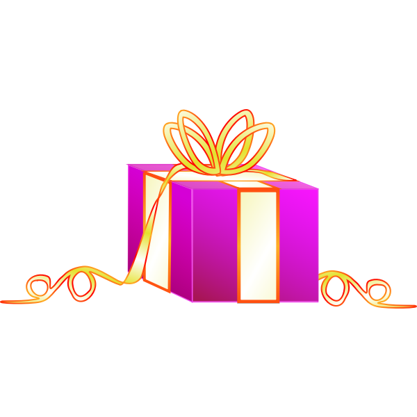 Gift vector image