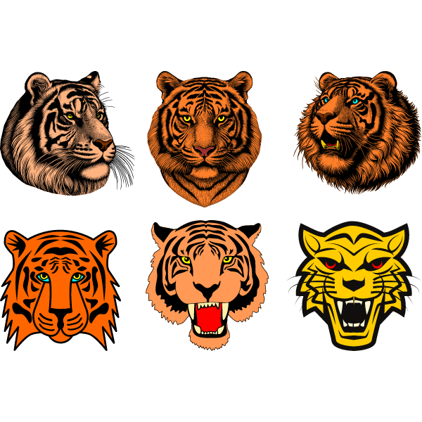 Tiger heads