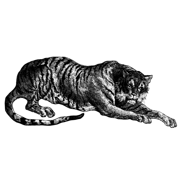 Tiger VI