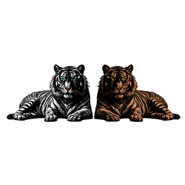 Tigers II