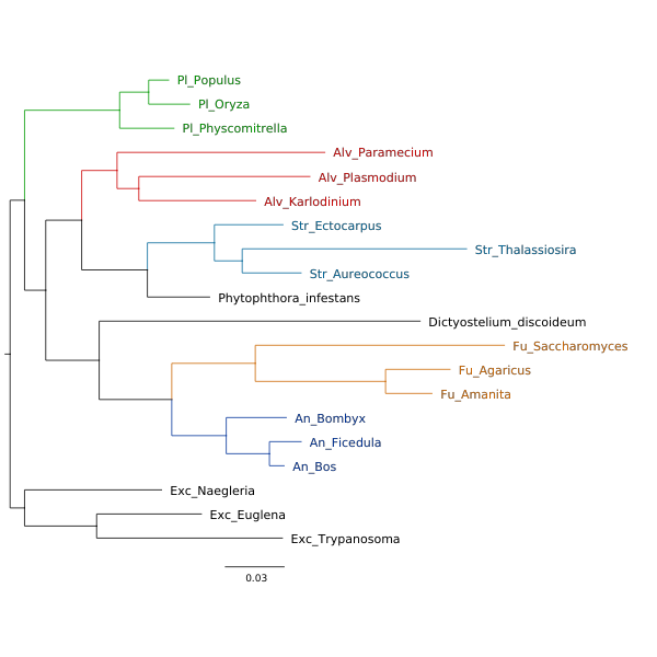 Biology diagram