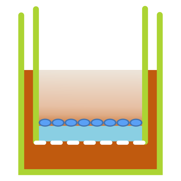 Microbiologist | Free SVG