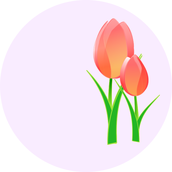 Vector image of a tulips