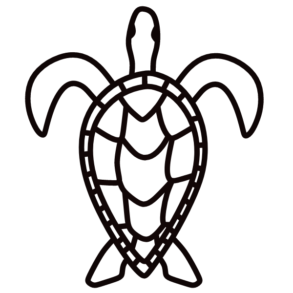 Turtle IV
