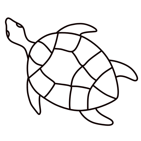 Turtle VIII