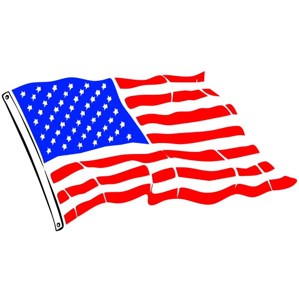 USA Flag Vector Image