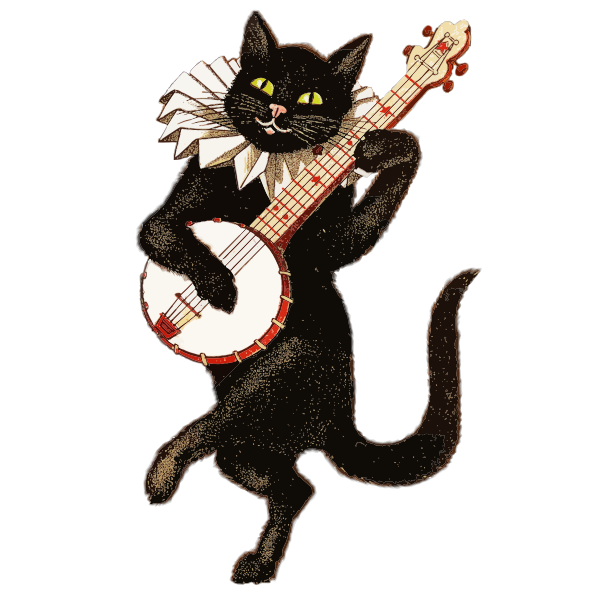 Cat musician