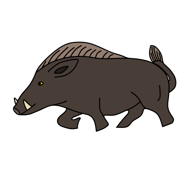 Wild boar 1