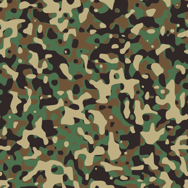 Camouflage pattern vector image