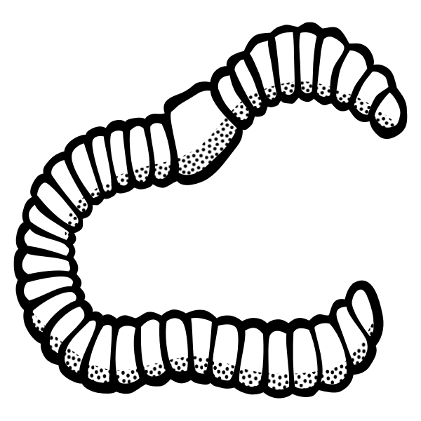 Vector clip art of worm line art