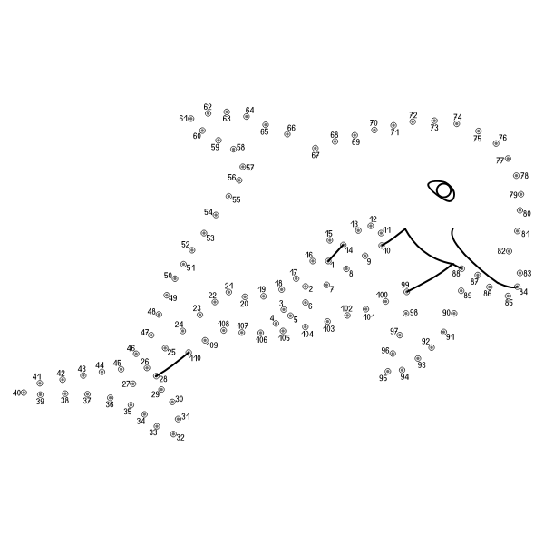 Dolphin connect the dots vector image