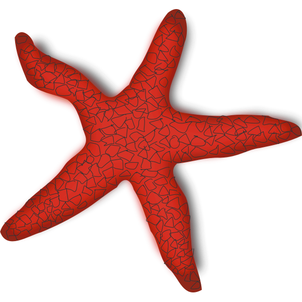 Download Vector graphics of red starfish | Free SVG