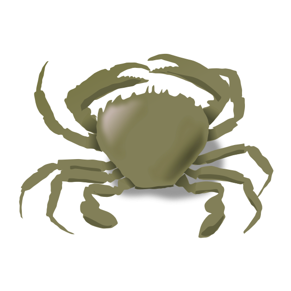 Vector drawing of crab