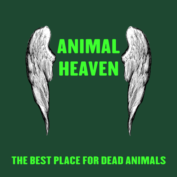 Animal heaven background vector image