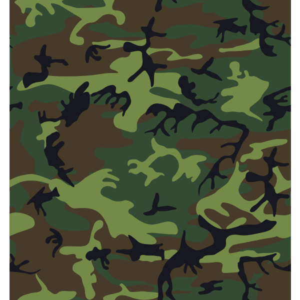 Camouflage army print vector image