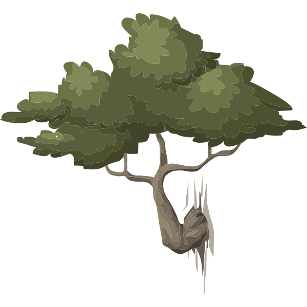 Branch of tree