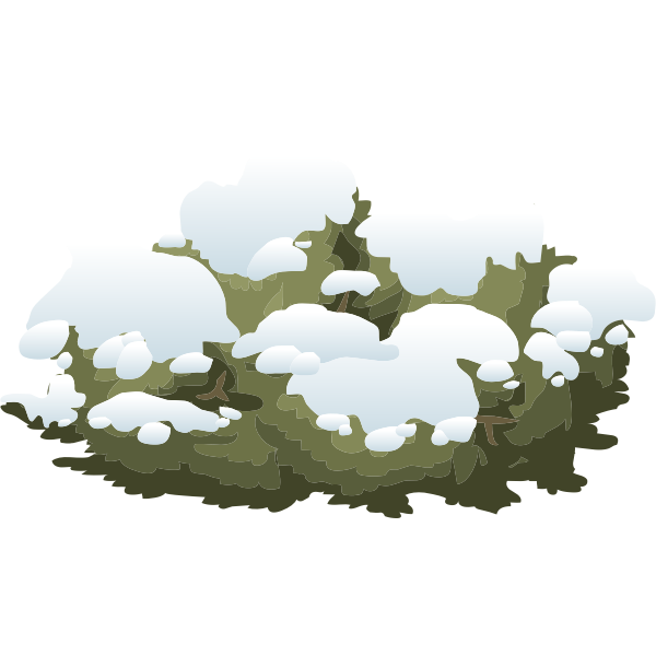 Snowy bush vector image