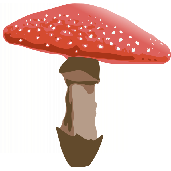Red mushroom with dots