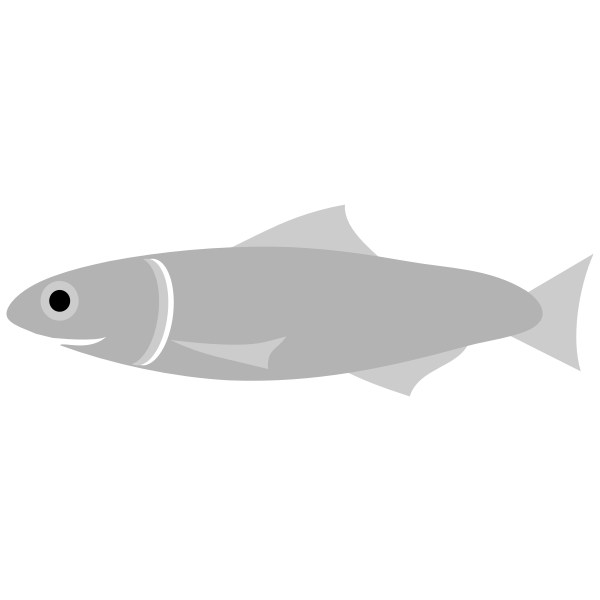 Download Anchovy fish | Free SVG