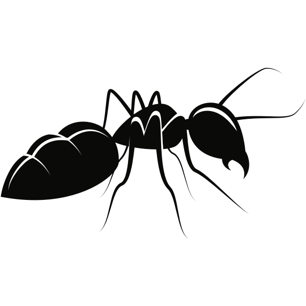 ant animal pdv