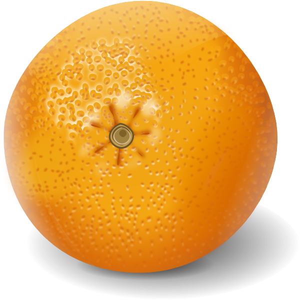 Orange fruit clip art