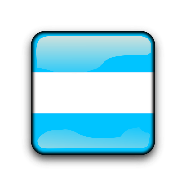 Argentina glossy button flag