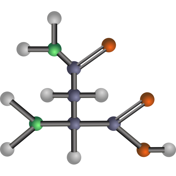 Asparagine (amino acid)