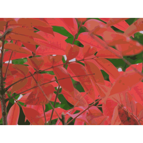 autumn leaves 01