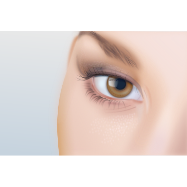 Vector drawing of woman's eye with extreme detail