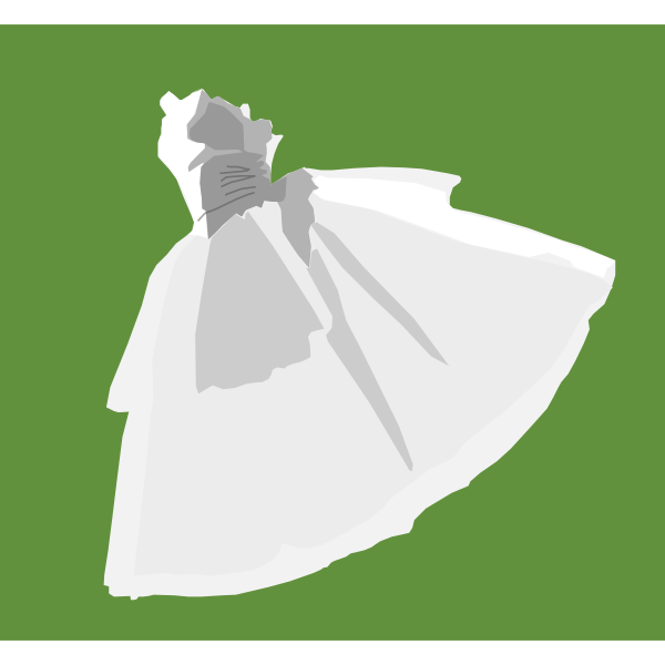 Ballet dress vector image