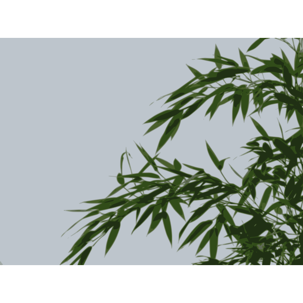bamboo 02