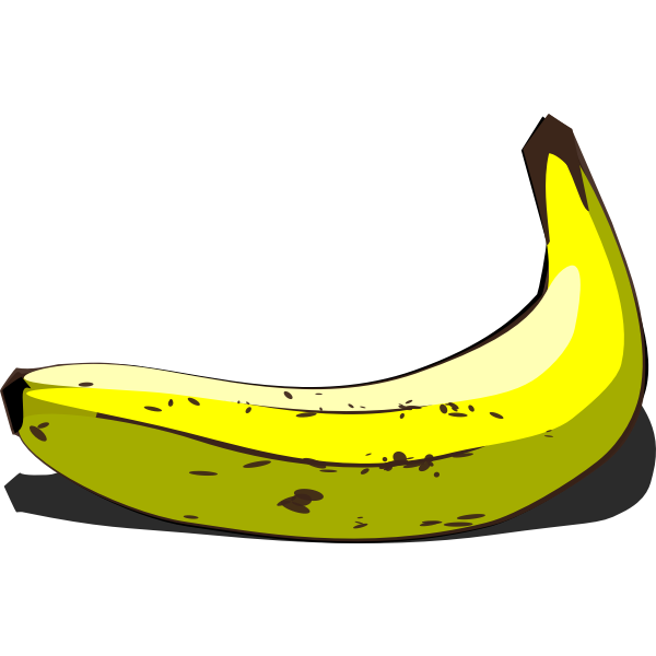 Whole banana in pairing vector image