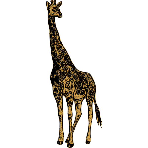 Download Beautiful Giraffe | Free SVG