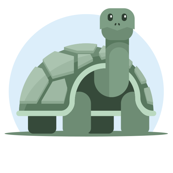 Cute Green Turtle Illustration
