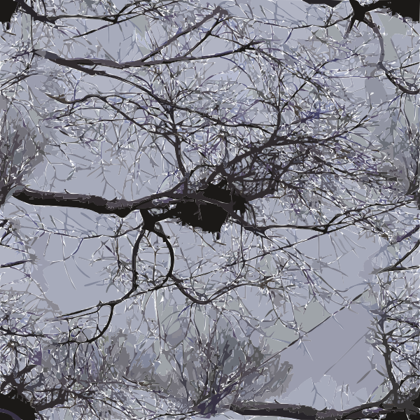Image of bird nest on tree branches with power lines above