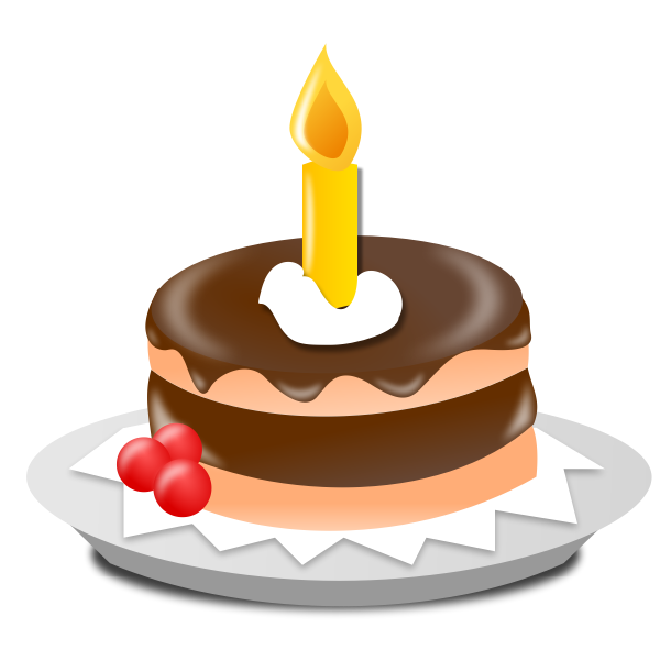 Birthday icon vector image