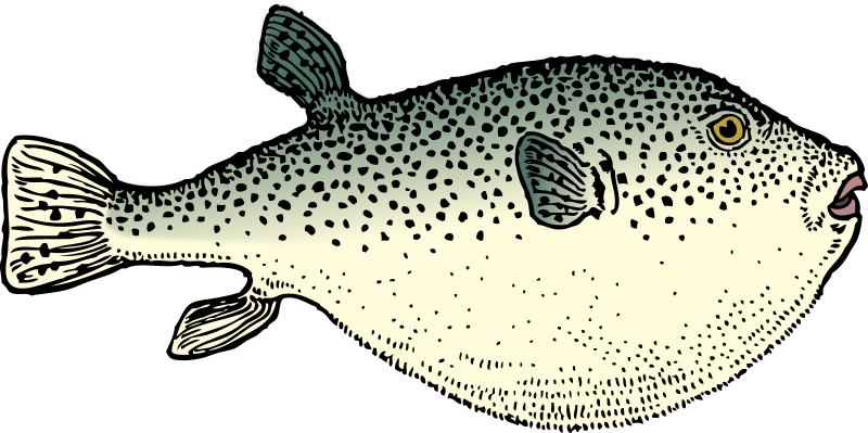 Blowfish image